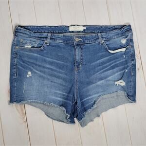 Torrid Cut Off Raw Hem Medium Wash Distressed Shorts, sz 24